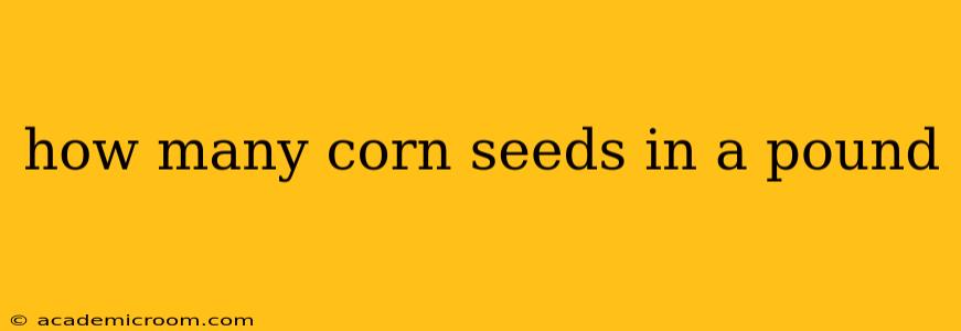 how many corn seeds in a pound