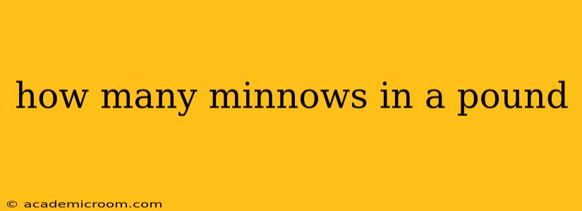how many minnows in a pound