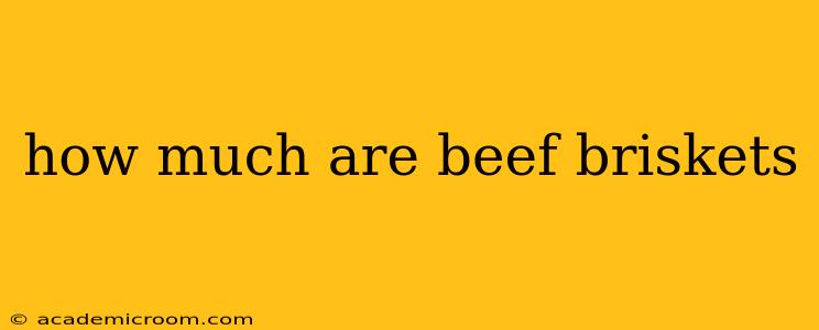 how much are beef briskets