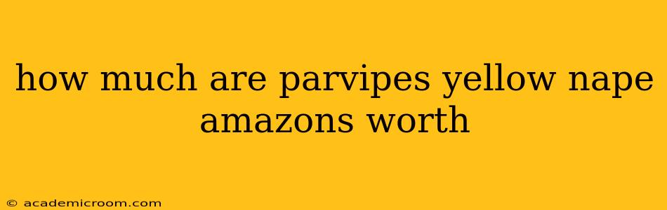 how much are parvipes yellow nape amazons worth