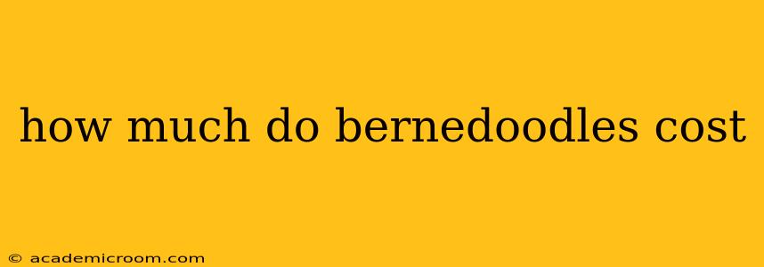 how much do bernedoodles cost