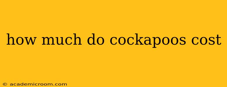 how much do cockapoos cost