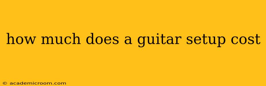 how much does a guitar setup cost