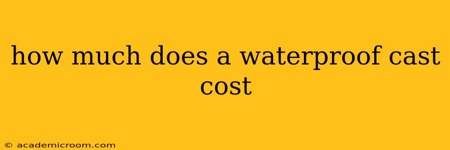 how much does a waterproof cast cost