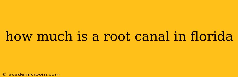 how much is a root canal in florida