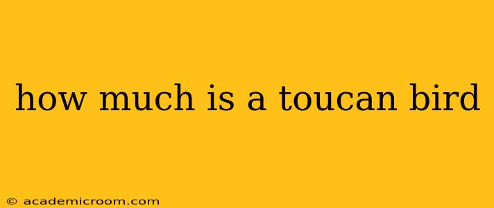 how much is a toucan bird