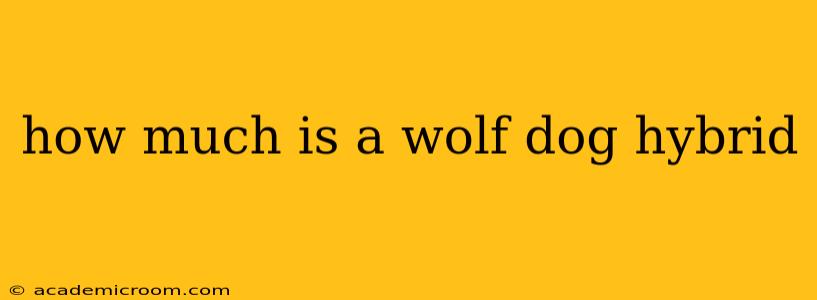 how much is a wolf dog hybrid