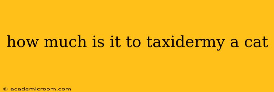 how much is it to taxidermy a cat