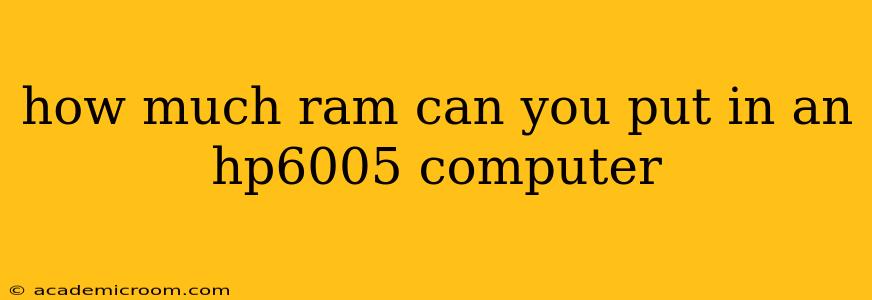 how much ram can you put in an hp6005 computer