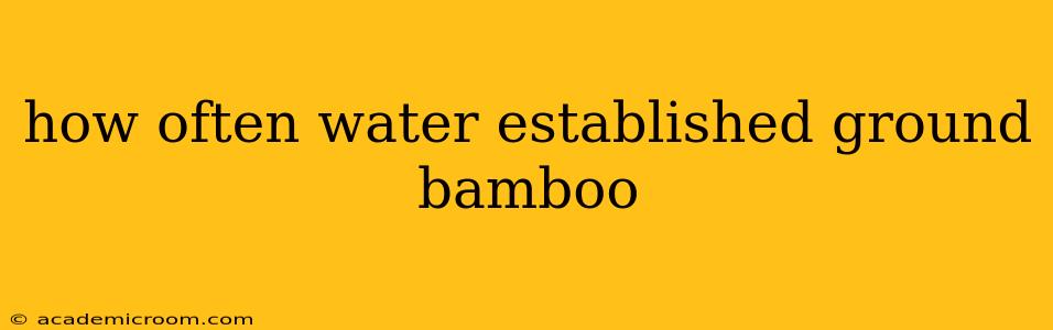 how often water established ground bamboo
