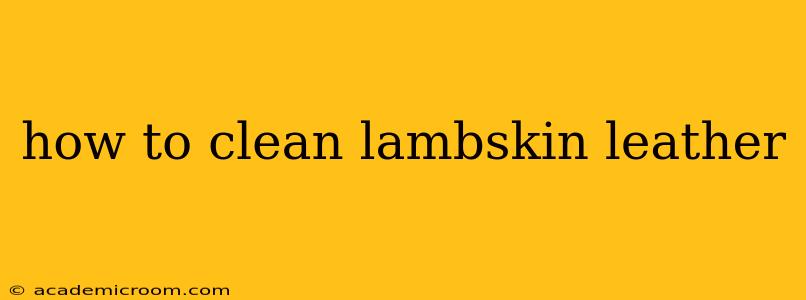 how to clean lambskin leather