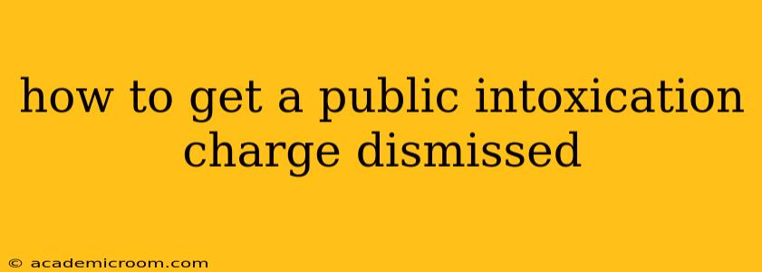 how to get a public intoxication charge dismissed