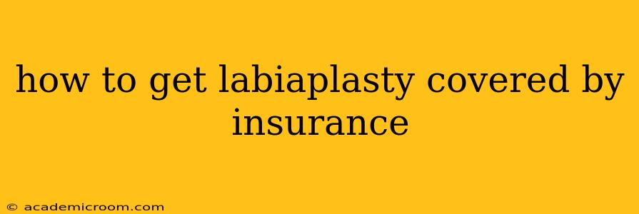 how to get labiaplasty covered by insurance