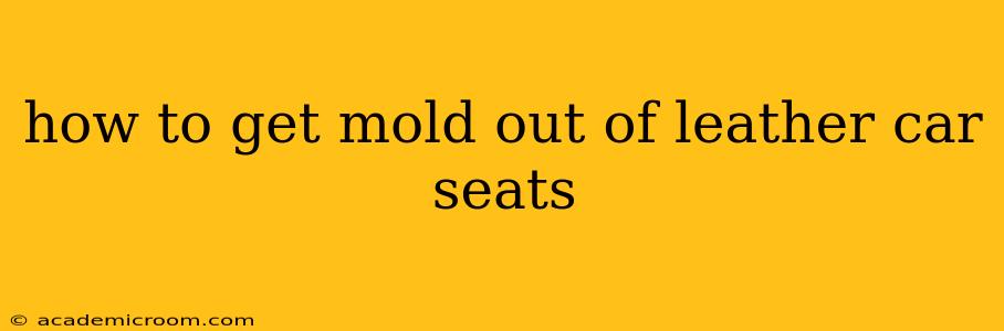 how to get mold out of leather car seats
