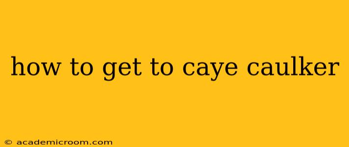 how to get to caye caulker