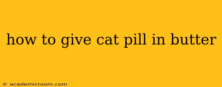 how to give cat pill in butter