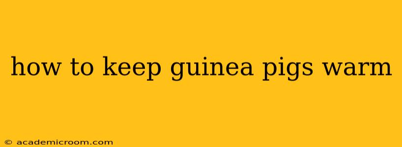 how to keep guinea pigs warm