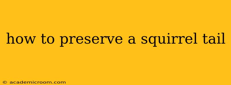 how to preserve a squirrel tail