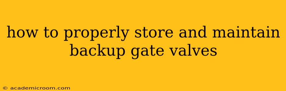 how to properly store and maintain backup gate valves