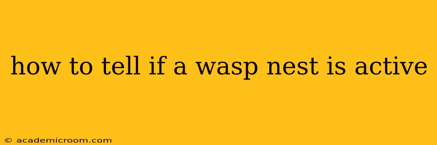 how to tell if a wasp nest is active