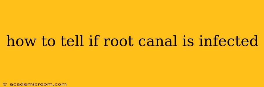 how to tell if root canal is infected
