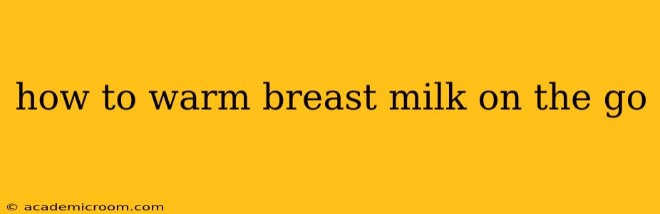 how to warm breast milk on the go