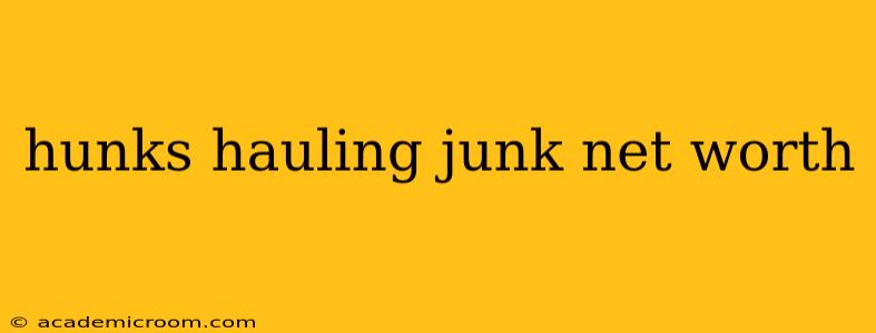 hunks hauling junk net worth