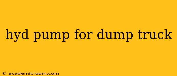 hyd pump for dump truck