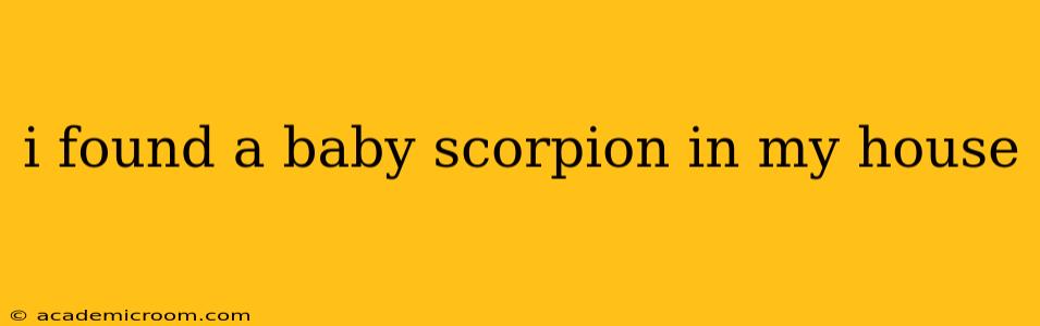 i found a baby scorpion in my house