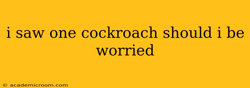 i saw one cockroach should i be worried