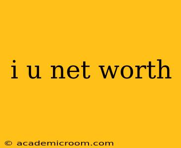 i u net worth
