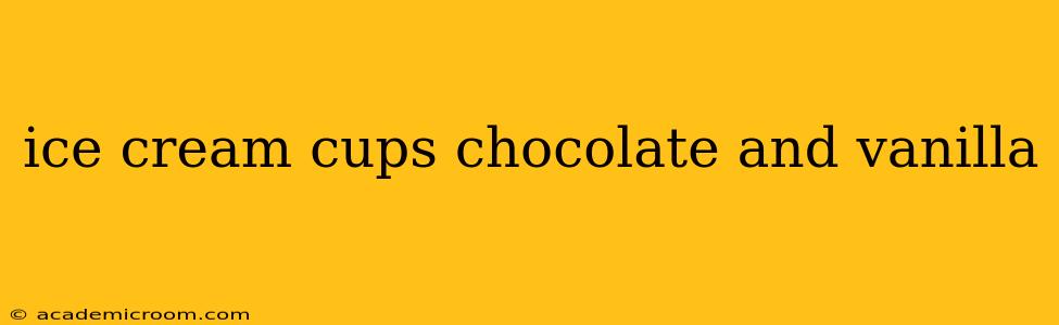 ice cream cups chocolate and vanilla