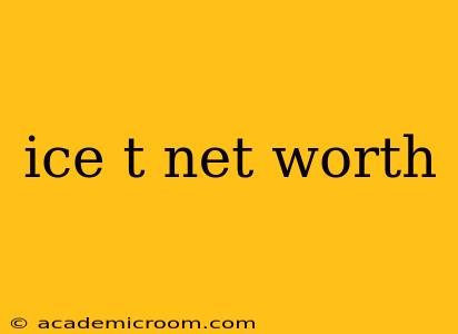 ice t net worth