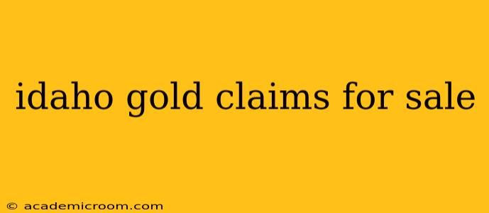 idaho gold claims for sale