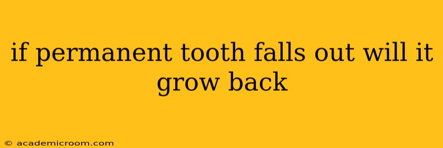 if permanent tooth falls out will it grow back