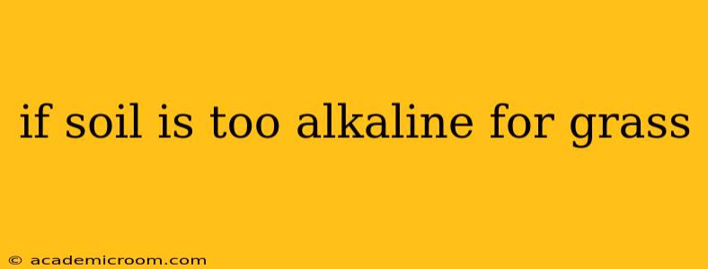 if soil is too alkaline for grass