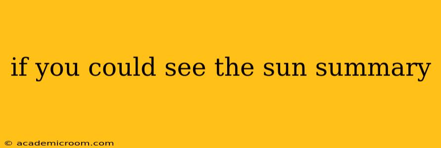 if you could see the sun summary