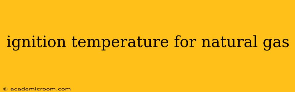 ignition temperature for natural gas