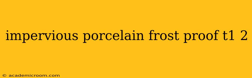 impervious porcelain frost proof t1 2