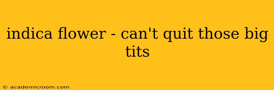 indica flower - can't quit those big tits