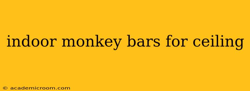 indoor monkey bars for ceiling