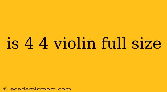 is 4 4 violin full size