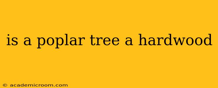 is a poplar tree a hardwood