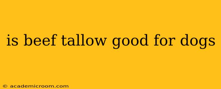 is beef tallow good for dogs