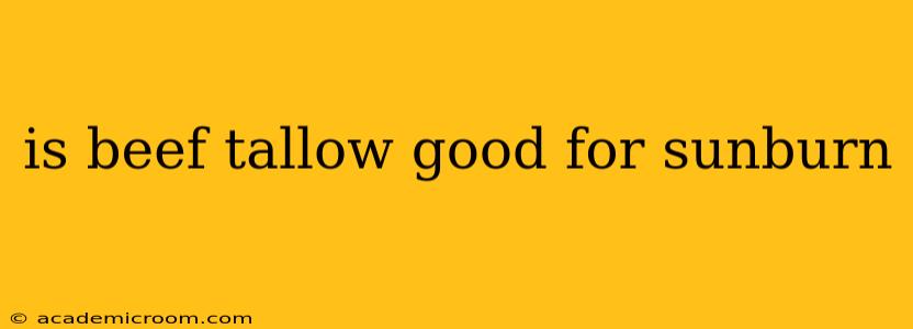 is beef tallow good for sunburn