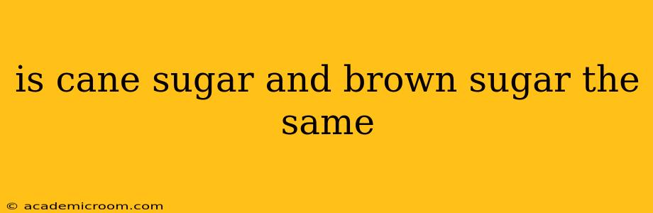 is cane sugar and brown sugar the same