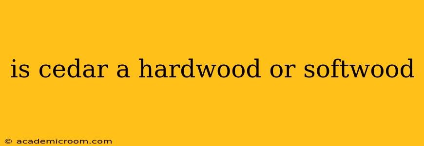 is cedar a hardwood or softwood