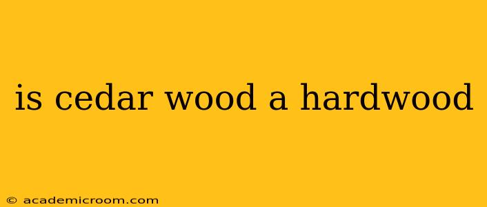 is cedar wood a hardwood