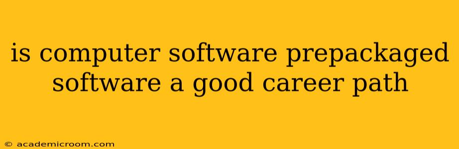 is computer software prepackaged software a good career path