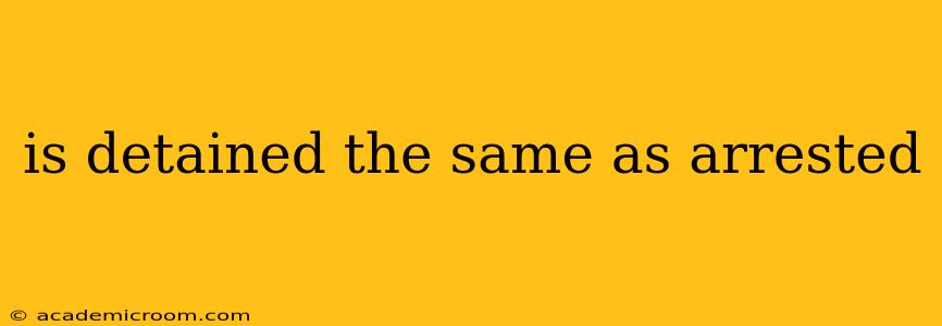 is detained the same as arrested